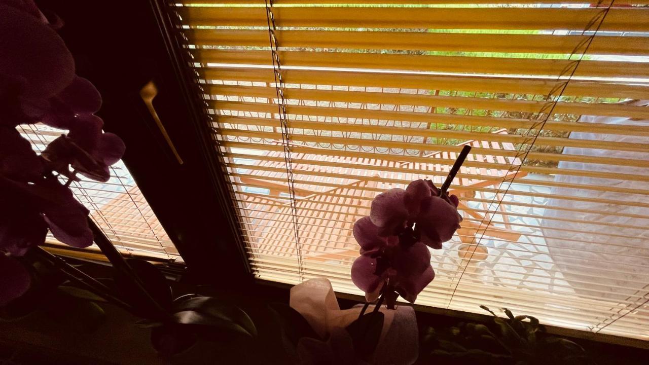 The Secret Orchid Appartement Rovinj Buitenkant foto